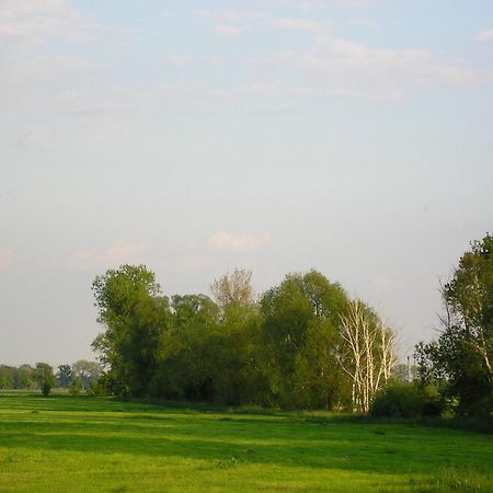 Parkhotel Schoenewalde Экстерьер фото