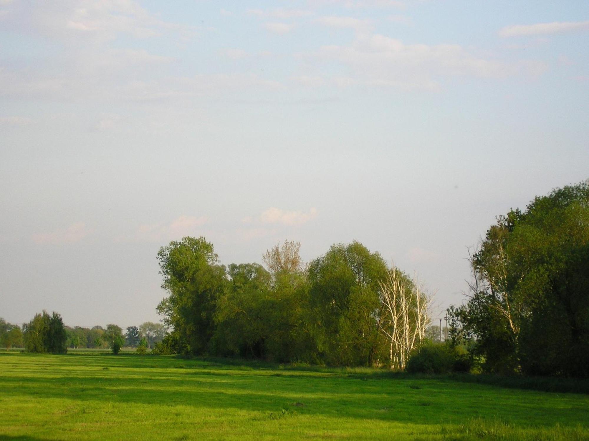 Parkhotel Schoenewalde Экстерьер фото